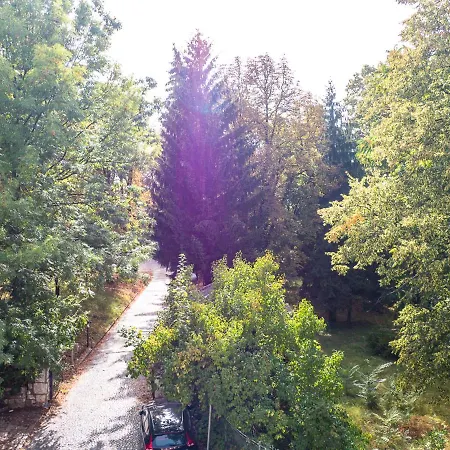 Cheyf Oasis * Szarajevó